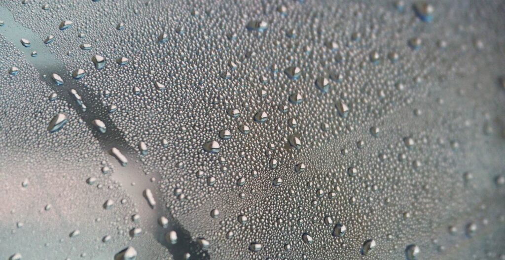 Wilgoć w samochodzie – jak sobie z&nbsp;nią radzić?